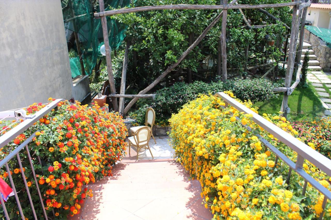 Casa Vacanze Chery Sorrento Exterior photo