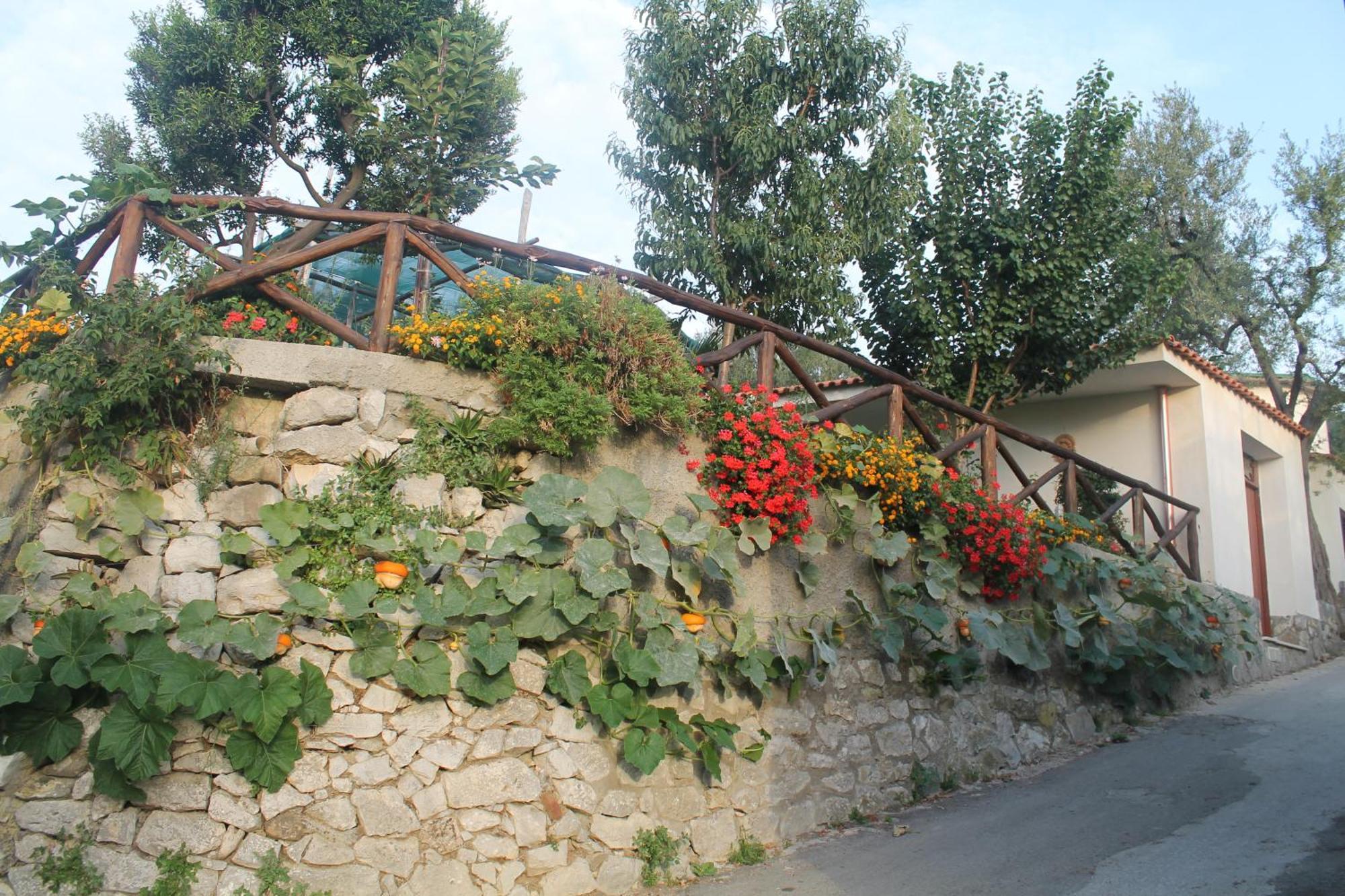 Casa Vacanze Chery Sorrento Exterior photo